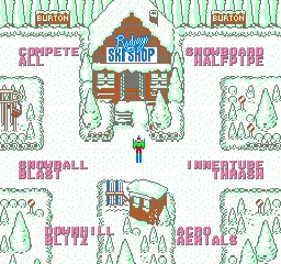 Snapshot